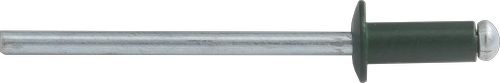 Заклепка вытяжная ISO 15977 4.0х10, Al/St, тип L RAL6005 (темно-зеленый) (упак/1.000шт)