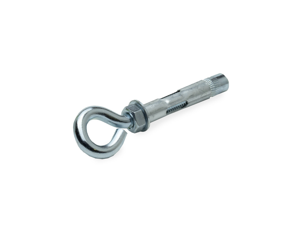 Анкерный болт с кольцом M 8 10х60 (с этик./1шт)